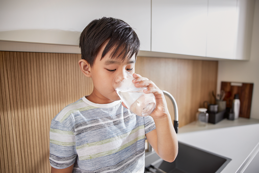 Link zur Seite Für die eigene Gourmet-Wassserbar!